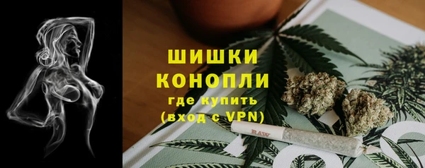 амф Вязьма
