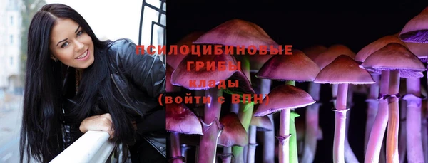 амф Вязьма