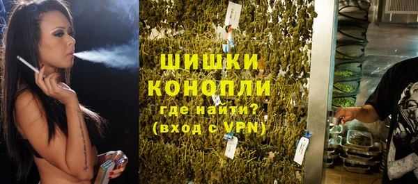 СК Вяземский