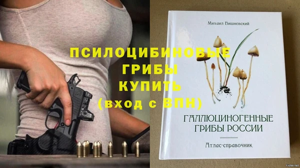 амф Вязьма